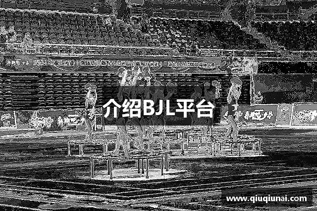 介绍BJL平台